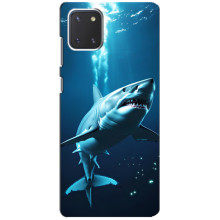 Чехол с картинкой «Хищники» для Samsung Galaxy Note 10 Lite – Акула