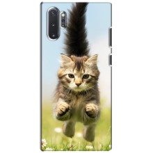 Чехлы с Котиками для Samsung Galaxy Note 10 Plus (VPrint) (Прыжок кота)