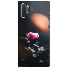 Чохли з принтом Троянд для Samsung Galaxy Note 10 Plus – Квітка нічна