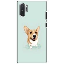Чехлы с собаками для Samsung Galaxy Note 10 Plus (VPrint) (Корги)