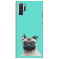 Бампер для Samsung Galaxy Note 10 Plus с картинкой "Песики" – Собака Мопс