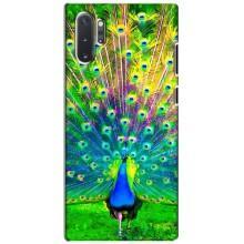 Чехол с птицами на Samsung Galaxy Note 10 Plus (VPrint) (Яркий Павлин)