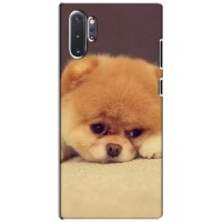 Чехол (ТПУ) Милые собачки для Samsung Galaxy Note 10 Plus (Померанский шпиц)