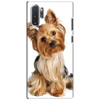 Чехол (ТПУ) Милые собачки для Samsung Galaxy Note 10 Plus – Собака Терьер