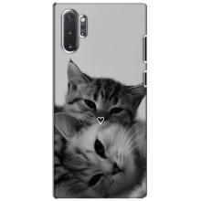 Чехол с рисунком кот на Samsung Galaxy Note 10 Plus (Пара котов)