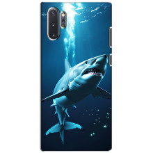 Чехол с картинкой «Хищники» для Samsung Galaxy Note 10 Plus – Акула