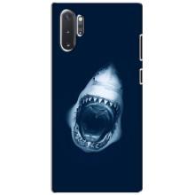 Силиконовый бампер с картинкой животных для Samsung Galaxy Note 10 Plus (Пасть Акулы)