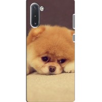 Чехол (ТПУ) Милые собачки для Samsung Galaxy Note 10 (Померанский шпиц)