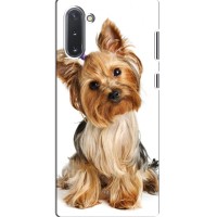 Чехол (ТПУ) Милые собачки для Samsung Galaxy Note 10 (Собака Терьер)