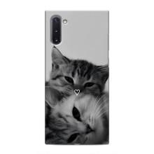 Чехол с рисунком кот на Samsung Galaxy Note 10 – Пара котов