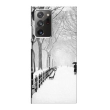 Чехлы на Новый Год Samsung Galaxy Note 20 Ultra (Снегом замело)