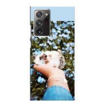 Чехлы с изображением разных животных для Samsung Galaxy Note 20 Ultra (Ежик на руках)