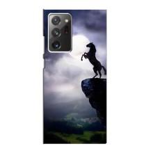 Чехлы с изображением разных животных для Samsung Galaxy Note 20 Ultra (Лошадь)