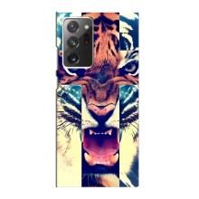 Чехлы с изображением разных животных для Samsung Galaxy Note 20 Ultra (Яркий Тигр)