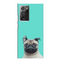 Бампер для Samsung Galaxy Note 20 Ultra з картинкою "Песики" – Собака Мопсік