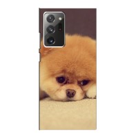 Чехол (ТПУ) Милые собачки для Samsung Galaxy Note 20 Ultra (Померанский шпиц)