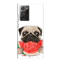 Чехол (ТПУ) Милые собачки для Samsung Galaxy Note 20 Ultra – Смешной Мопс