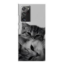 Чехол с рисунком кот на Samsung Galaxy Note 20 Ultra – Пара котов