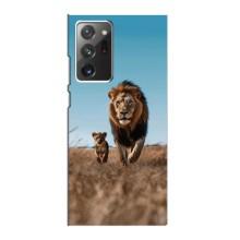 Чехол Король лев на Самсунг Галакси Ноут 20 Ультра – Мусафа и Симба