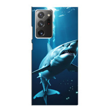 Чехол с картинкой «Хищники» для Samsung Galaxy Note 20 Ultra – Акула