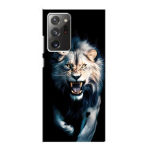 Чехол с картинкой «Хищники» для Samsung Galaxy Note 20 Ultra – Лев