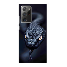 Чехол с картинкой «Хищники» для Samsung Galaxy Note 20 Ultra – Змея