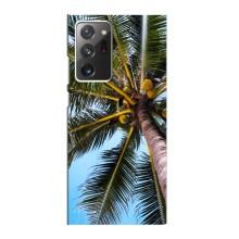 Силиконовый чехол с КАРТИНКАМИ лето для Samsung Galaxy Note 20 Ultra (AlphaPrint) (Пальма)