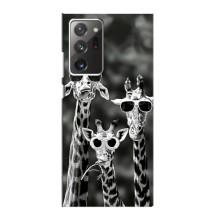 Силиконовый чехол с КАРТИНКАМИ лето для Samsung Galaxy Note 20 Ultra (AlphaPrint) (Жирафы в очках)