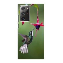 Силіконовий бампер з птичкою на Samsung Galaxy Note 20 Ultra – Калібрі