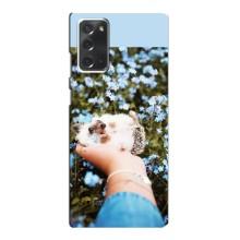 Чехлы с изображением разных животных для Samsung Galaxy Note 20 (Ежик на руках)