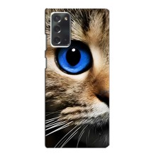 Чехлы с Котиками для Samsung Galaxy Note 20 (VPrint) (Глаз кота)