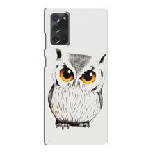 Чохол з пташками на Samsung Galaxy Note 20 (VPrint) (Мила Сова)