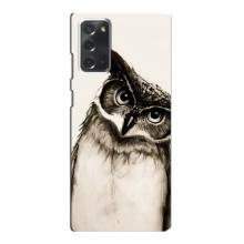 Чохол з пташками на Samsung Galaxy Note 20 (VPrint) (Сова)