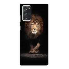 Чохол з картинкою ЛЕВ для Samsung Galaxy Note 20 (VPrint) (Лев)