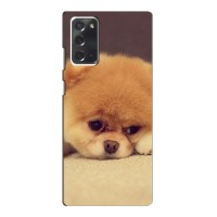 Чехол (ТПУ) Милые собачки для Samsung Galaxy Note 20 (Померанский шпиц)