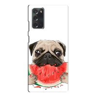 Чехол (ТПУ) Милые собачки для Samsung Galaxy Note 20 (Смешной Мопс)