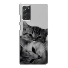 Чохол з малюнком кіт на Samsung Galaxy Note 20 (Пара котів)