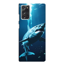 Чехол с картинкой «Хищники» для Samsung Galaxy Note 20 – Акула