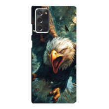 Чехол с картинкой «Хищники» для Samsung Galaxy Note 20 – Орёл