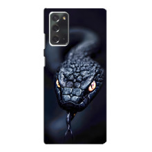 Чехол с картинкой «Хищники» для Samsung Galaxy Note 20 – Змея