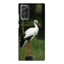 Силіконовий бампер з птичкою на Samsung Galaxy Note 20 – Лелека