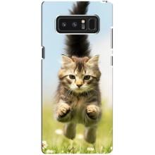 Чохли з Котиками для samsung Galaxy Note 8 (VPrint) (Прижок кота)