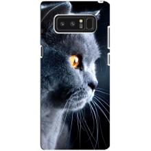 Чохли з Котиками для samsung Galaxy Note 8 (VPrint) (Сірий Кіт)