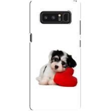 Чохли з собаками для samsung Galaxy Note 8 (VPrint)