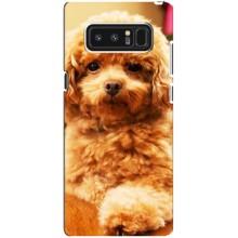 Чохли з собаками для samsung Galaxy Note 8 (VPrint)