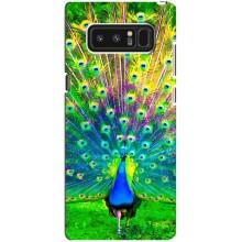 Чехол с птицами на samsung Galaxy Note 8 (VPrint) (Яркий Павлин)