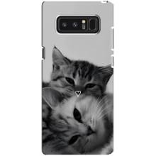Чохол з малюнком кіт на samsung Galaxy Note 8 – Пара котів