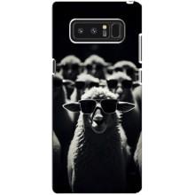 Чохол з принтом стильні тварини для Самсунг Ноут 8, N950 – Овечка в окулярах