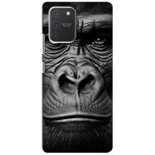 Чохли з Горилою на Самсунг С10 Лайт – Чорна мавпа