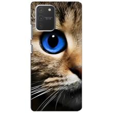 Чохли з Котиками для Samsung Galaxy S10 Lite (VPrint) (Око кота)